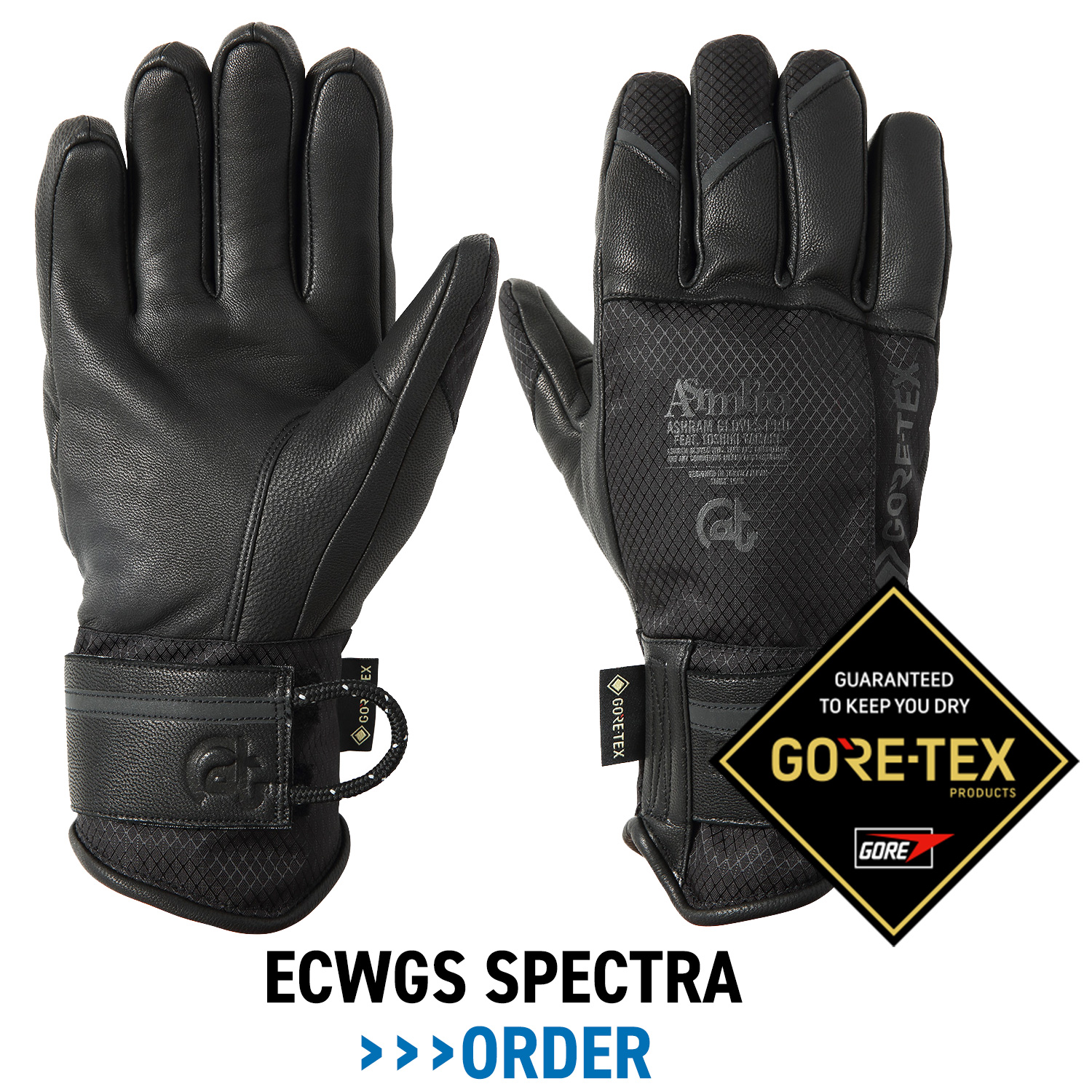 ECWGS SPECTRA